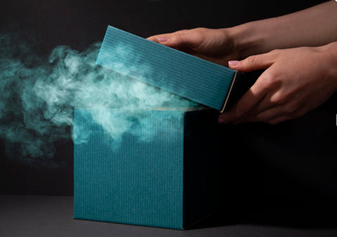 Seasons Creepings Mystery Box